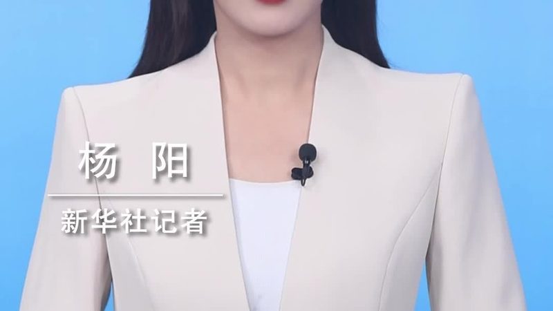 数据治理生命周期管理：企业数字化转型的重要一步**